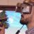 Better Pilot Training with VR Flight Simulator